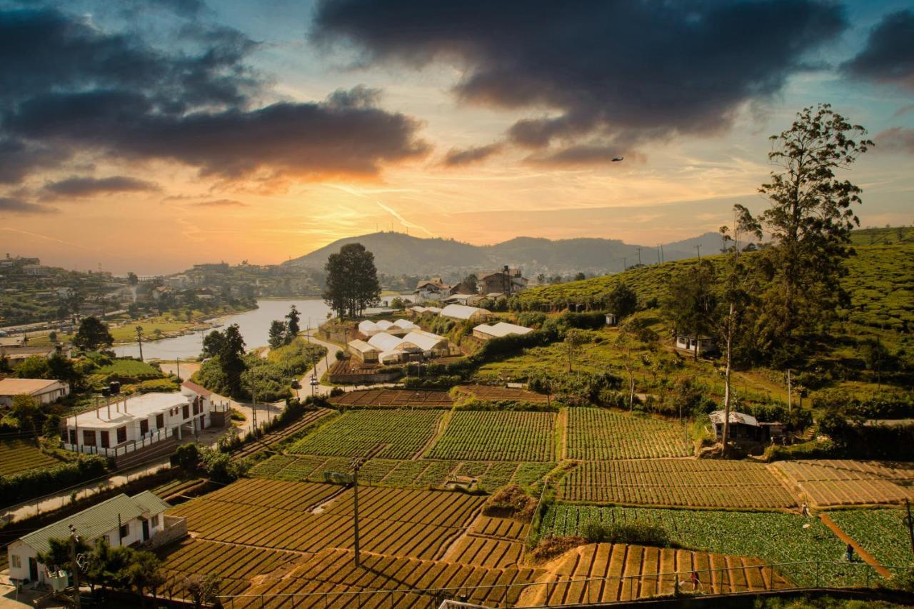 Moon Plains Luxury * Nuwara Eliya